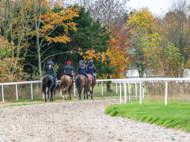 BP011124-77 - Ben Pauling Stable Visit